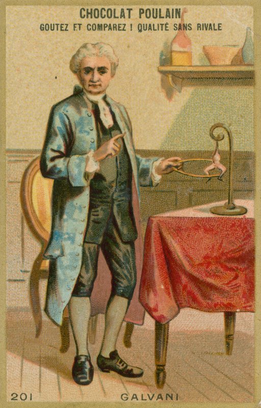 Luigi Galvani od French School