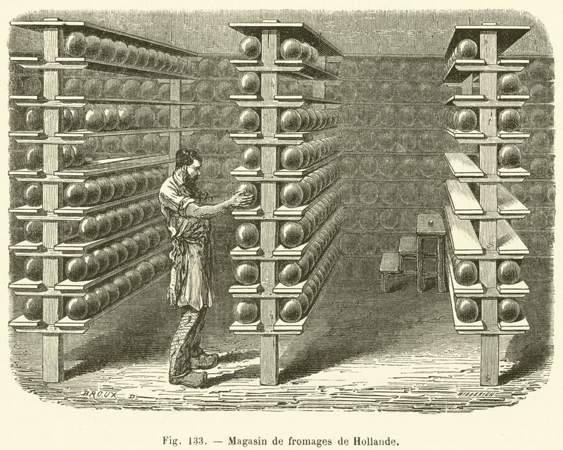 Dutch Cheese Shop (rytina) od French School