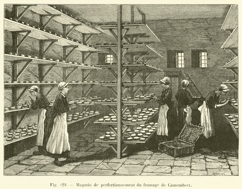 Prodejna hermelínového sýra (rytina) od French School