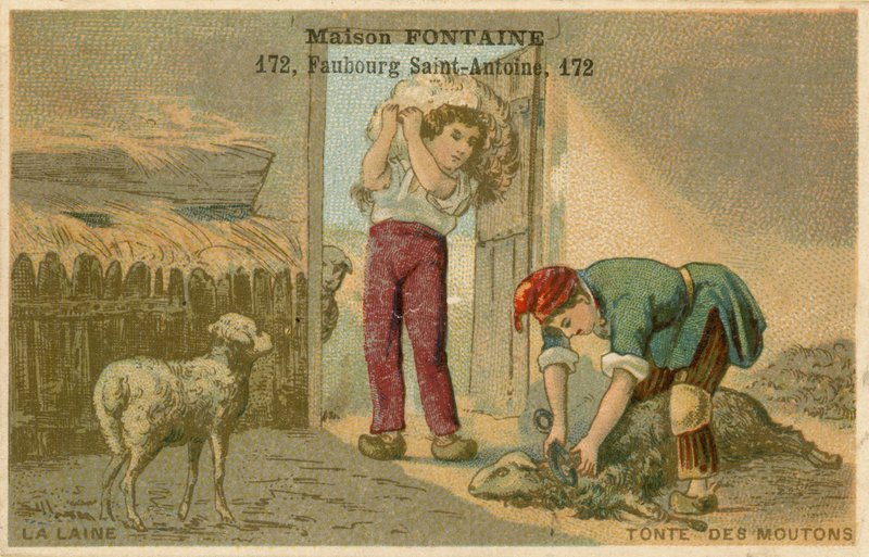 Obchodní karta Maison Fontaine, stříhání ovcí od French School