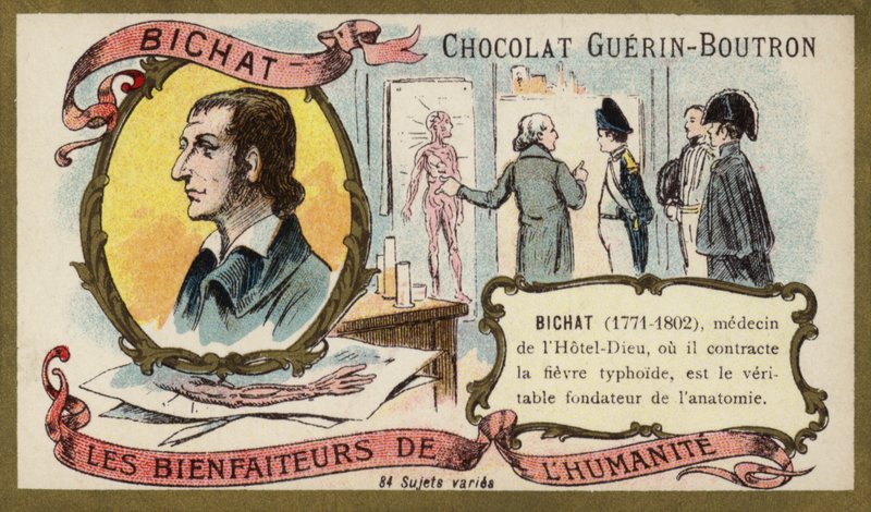 Marie Francois Xavier Bichat , francouzský fyziolog a anatom (chromolitho) od French School