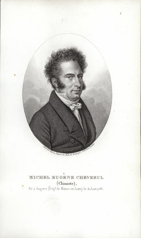 Michel Eugene Chevreul od French School