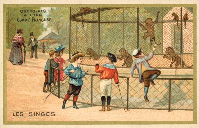 opice (chromolitho) od French School