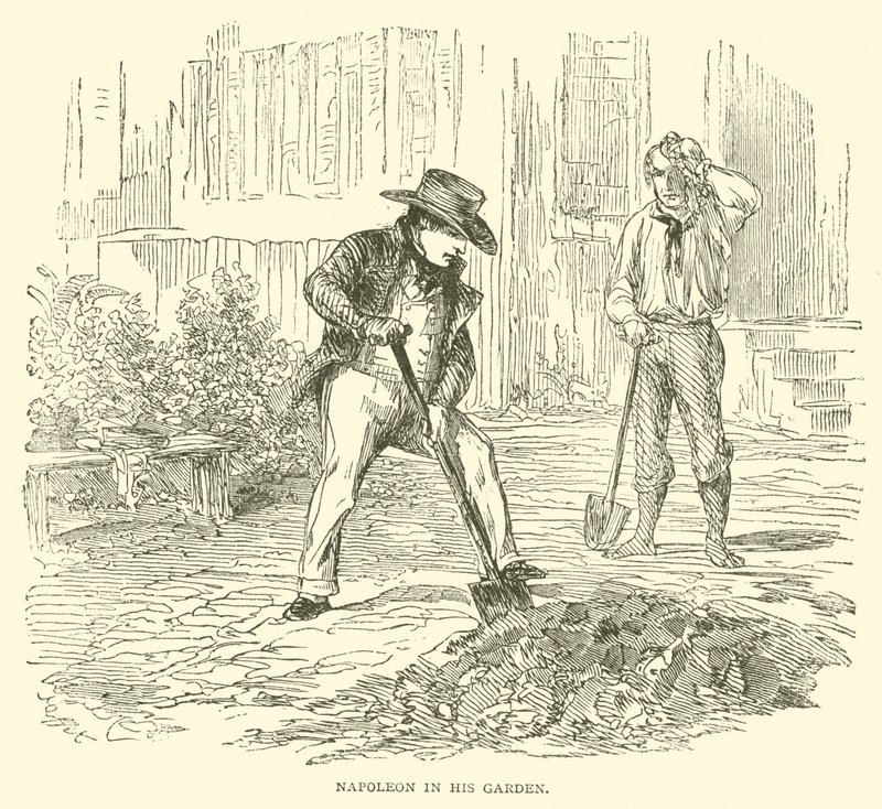 Napoleon ve své zahradě (rytina) od French School