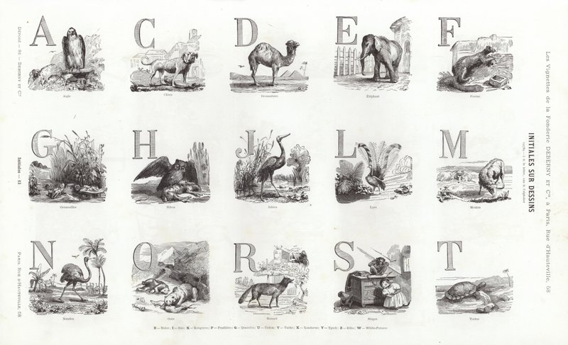 Stránka z typografických vinět (rytina) od French School