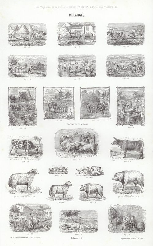 Stránka z typografických vinět (rytina) od French School
