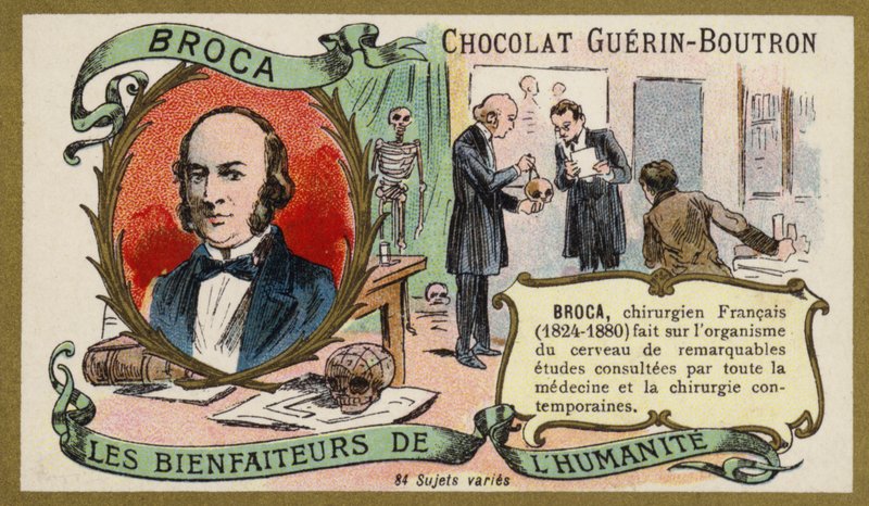 Paul Broca , francouzský lékař, anatom a antropolog (chromolitho) od French School