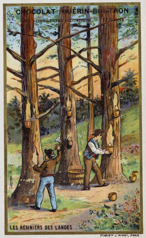 Sběrači borové pryskyřice v Landes, Francie (chromolitho) od French School