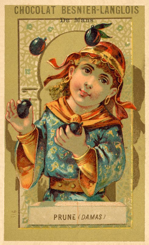 Švestky z Damašku (chromolitho) od French School
