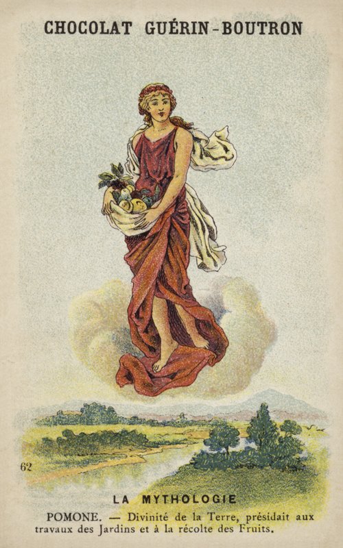 Pomone nebo Pomona od French School