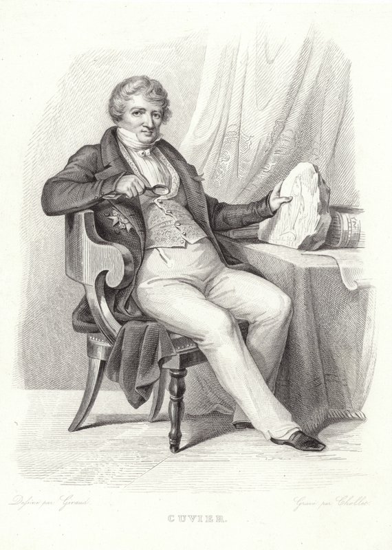 Portrét George Cuviera od French School