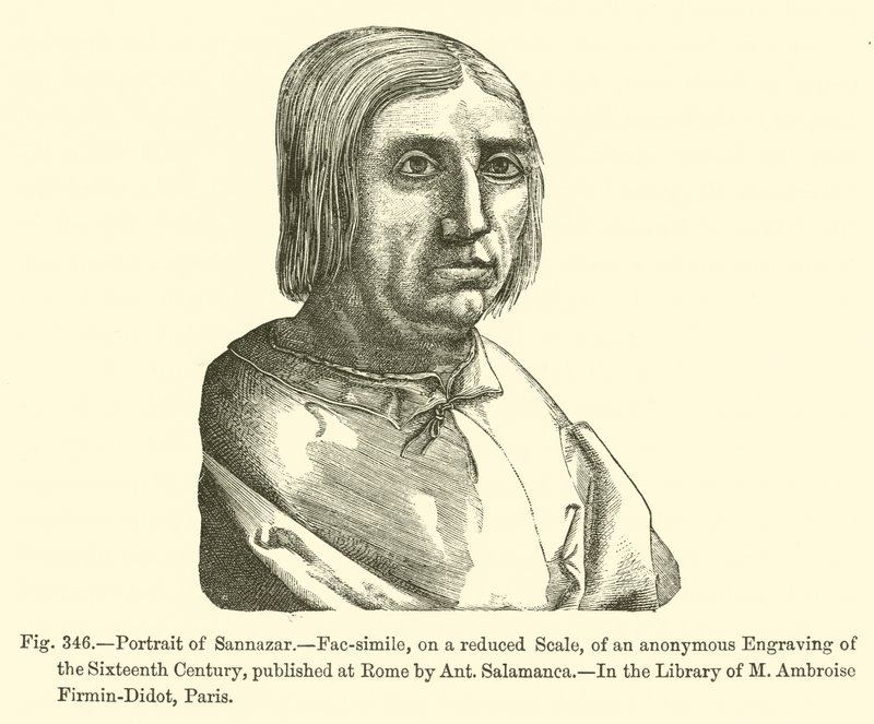 Portrét Sannazara (rytina) od French School