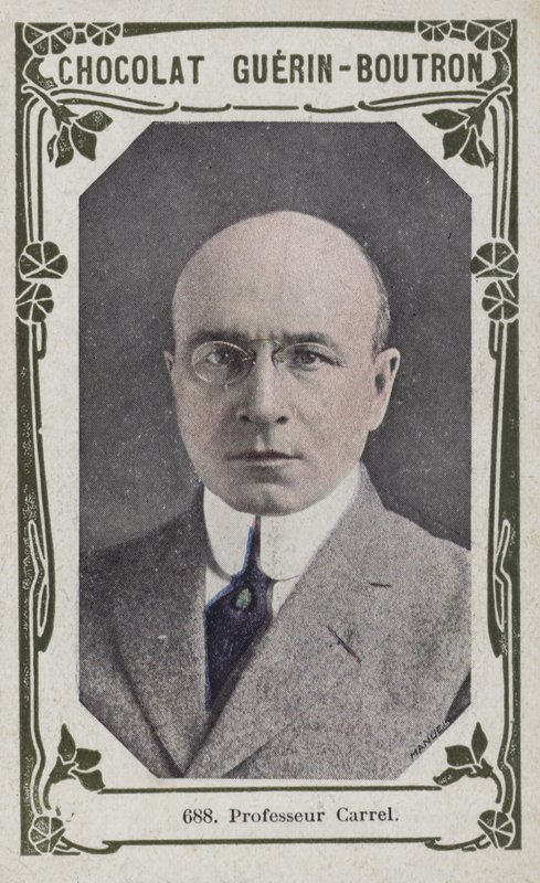 Profesor Carrel (barevné foto) od French School