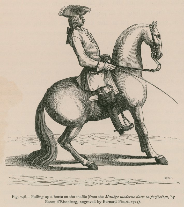 Tahání koně na Snaffle (z Manege moderne dans sa perfection, od barona dEisenberga, vyryto Bernardem Picartem, 1727) od French School