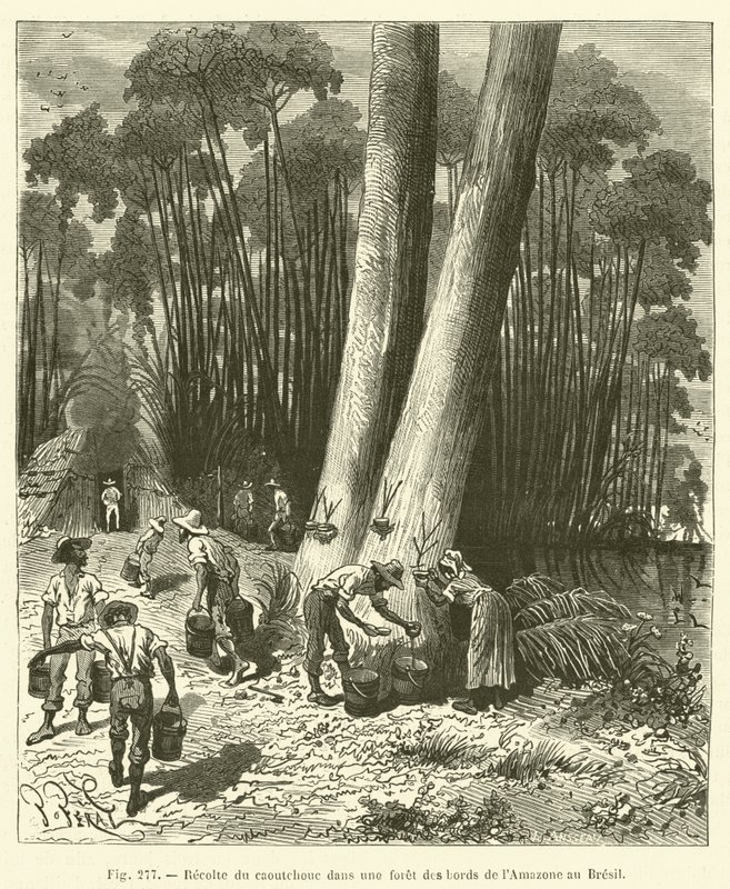 Recolte du caoutchouc dans une foret des bords de l"Amazone au Bresil od French School