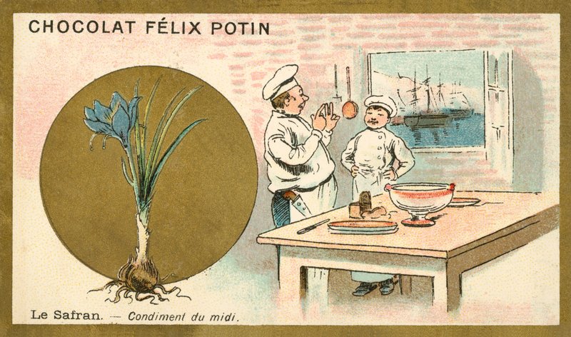 šafrán (chromolitho) od French School
