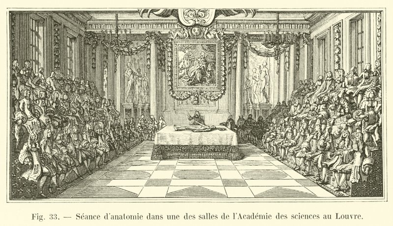 Seminář anatomie v jedné z místností Akademie věd v Louvru od French School