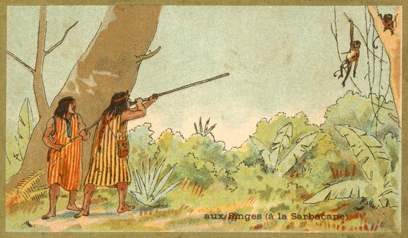 Jihoameričtí indiáni loví opice s foukačkami (chromolitho) od French School