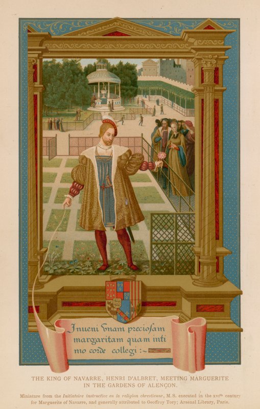 Král Navarry, Henri D