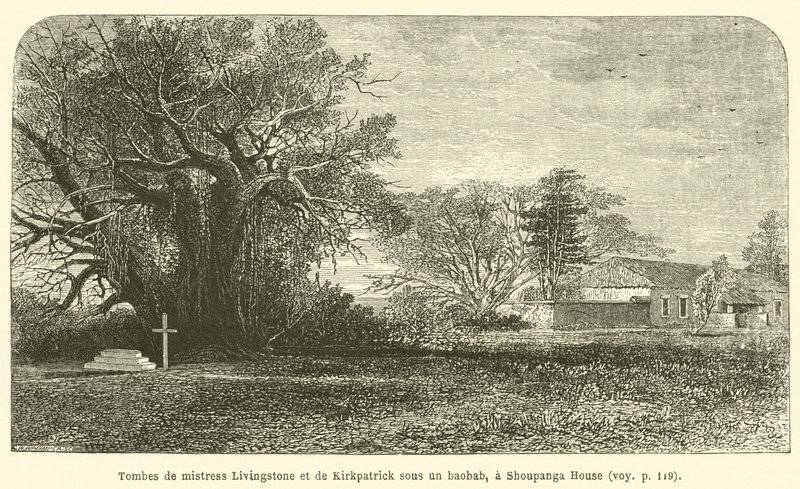 Hroby paní Livingstoneové a Kirkpatricka pod baobabem v domě Shoupanga (rytina) od French School