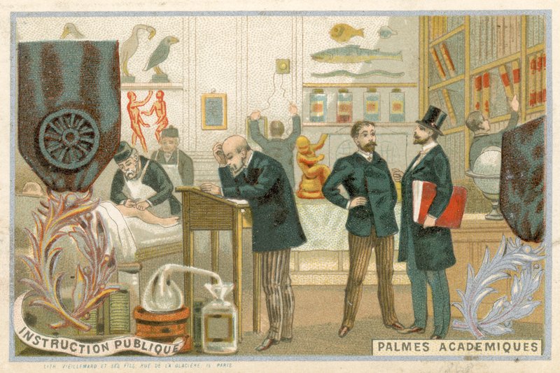 Obchodní karta s obrázkem Ordre des Palmes Academiques od French School
