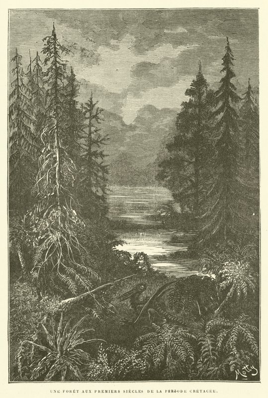 Les v prvních stoletích křídového období (rytina) od French School