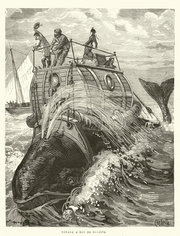 Voyage a Dos de Baleine (rytina) od French School