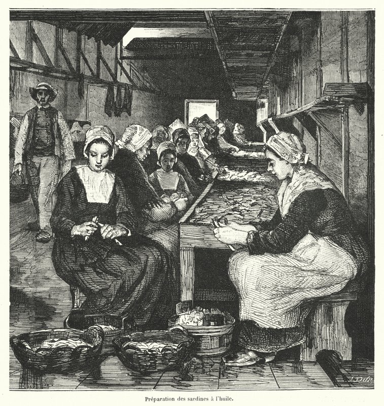 Ženy připravující sardinky (rytina) od French School
