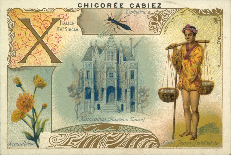 Xeranthemum, Ximo Japonská, Dům a Tours a dřevo vosa (chromolitho) od French School