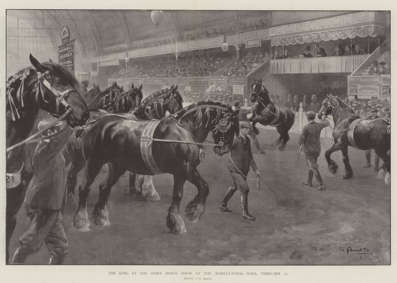 Král na Shire Horse Show v Zemědělské hale, 27. února od G.S. Amato