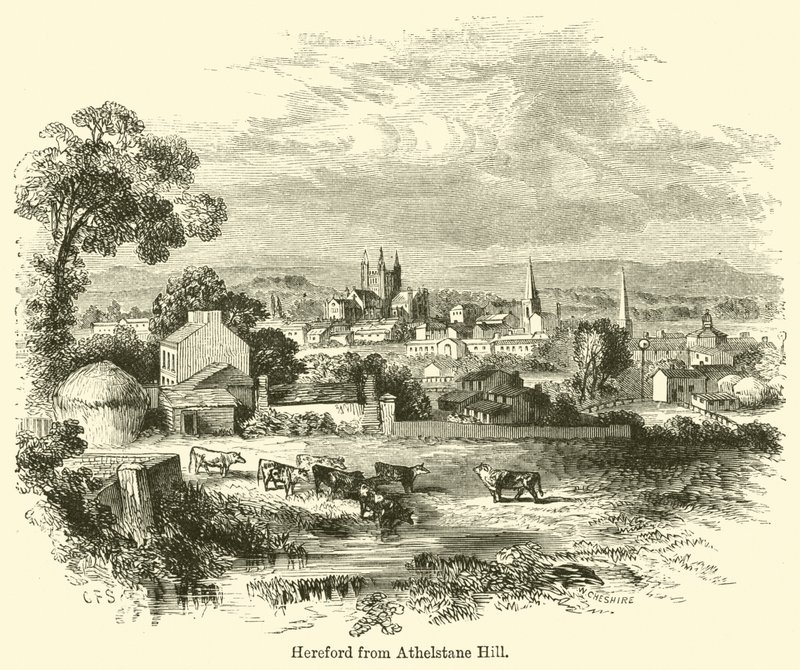 Hereford z Athelstane Hill od G. F. Sargent