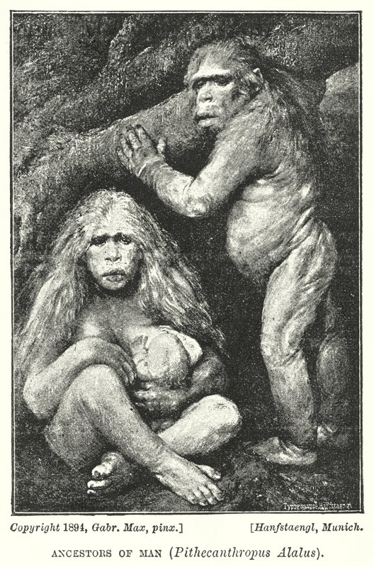 Předchůdci člověka, Pithecanthropus Alalus (litho) od Gabriel Max