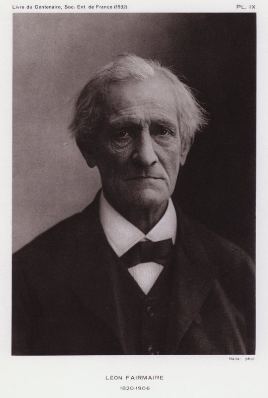 Leon Fairmaire, francouzský entomolog (černobílá fotografie) od Gaspard Felix Tournachon Nadar