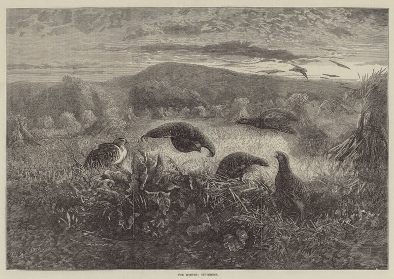 Měsíce, září od George Bouverie Goddard