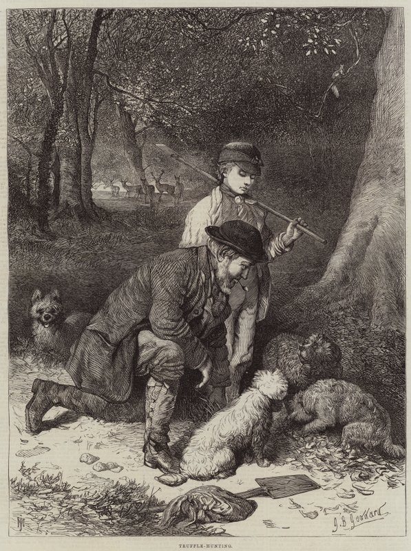 Lov lanýžů od George Bouverie Goddard