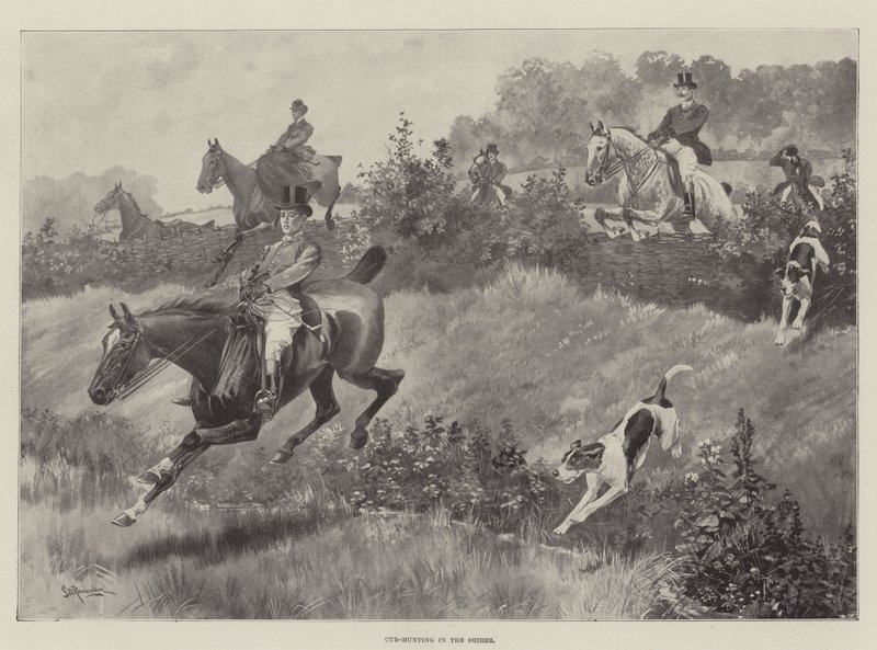 Lov mláďat v Shires od George Derville Rowlandson