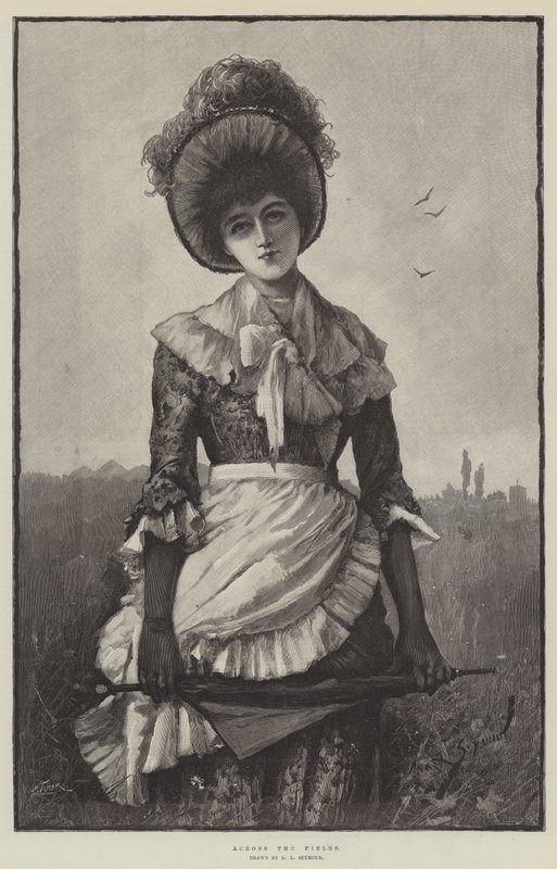 Přes pole od George L. Seymour