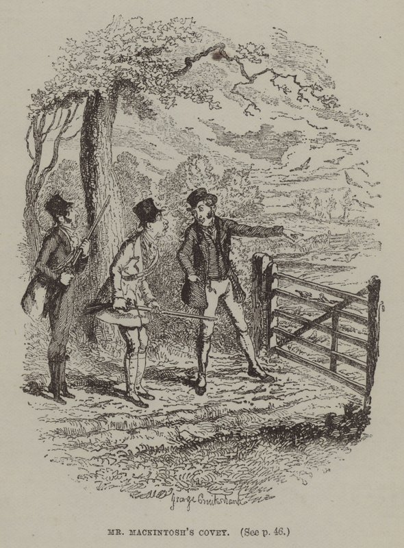 Pan Mackintosh