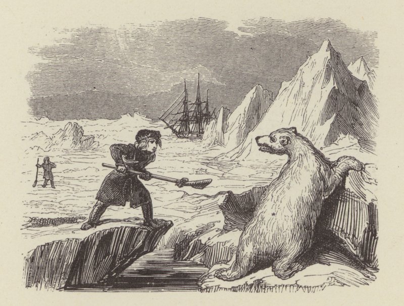 Mladý Nelson zabíjející ledního medvěda (rytina) od George (after) Cruikshank