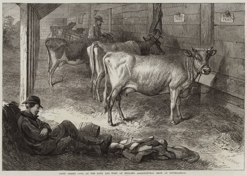 Cena Jersey Cows na Bath and West of England Agricultural Show v Southamptonu od George Bouverie Goddard