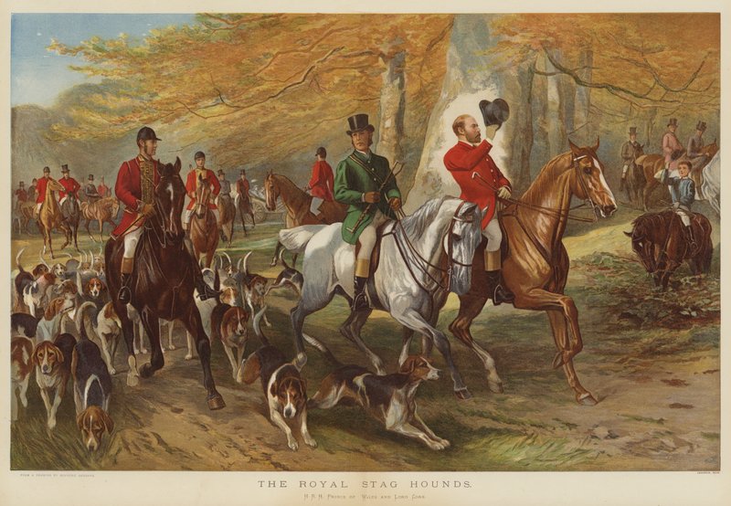Royal Stag Hounds, HRH princ z Walesu a lord Cork od George Bouverie Goddard