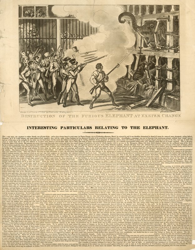 Zničení zuřivého slona v Exeter Change od George Cruikshank