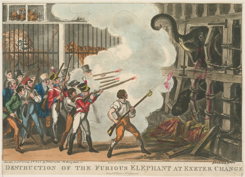 Zničení zuřivého slona v Exeter Change, 1826 od George Cruikshank