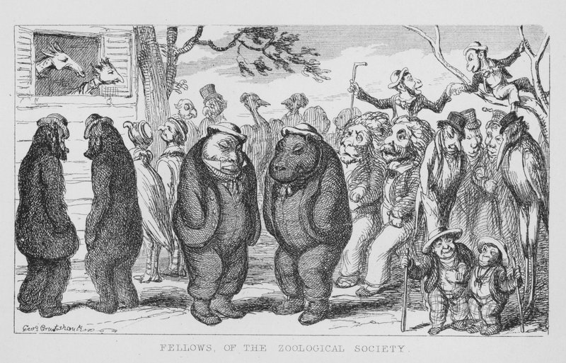 Členové zoologické společnosti (rytina) od George Cruikshank