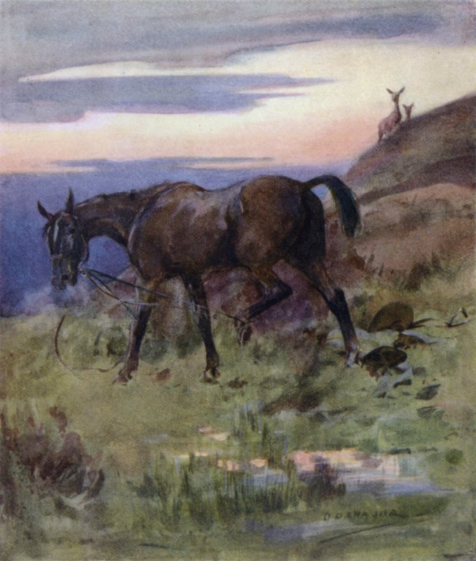 Ilustrace k Příběhu jelena (barva lito) od George Denholm Armour