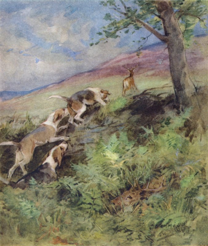 Ilustrace k Příběhu jelena (barva lito) od George Denholm Armour