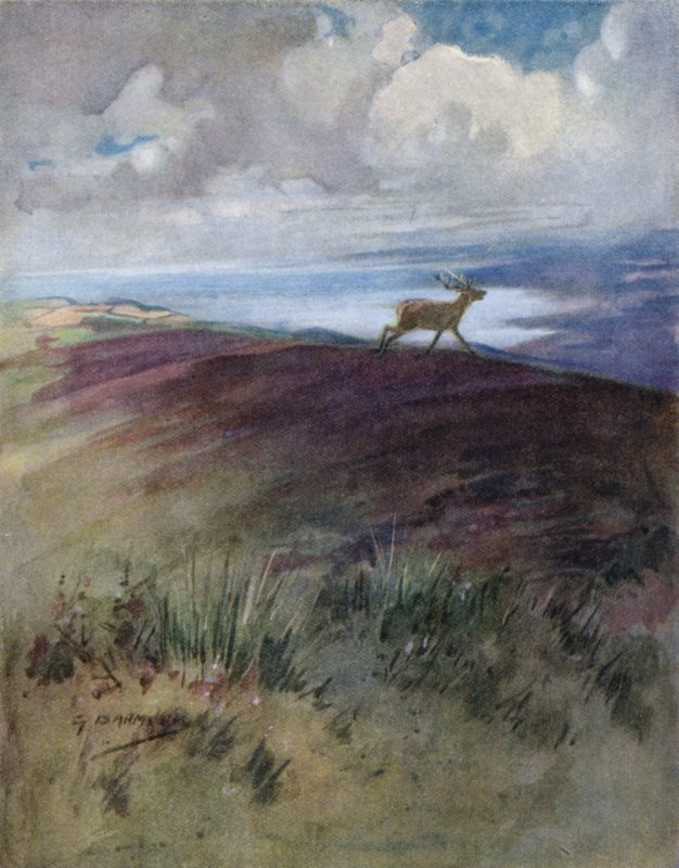 Ilustrace k Příběhu jelena (barva lito) od George Denholm Armour
