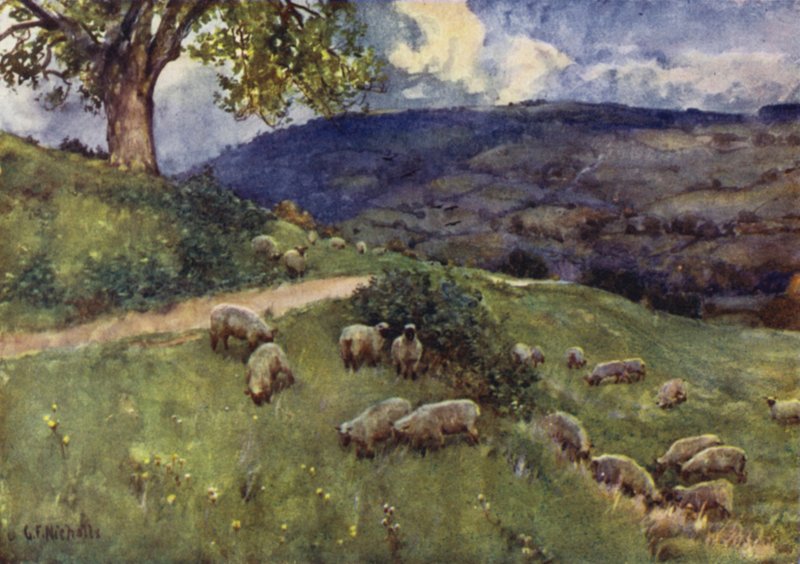 Ovčí pastviny Cotswold od George Franck Nicholls