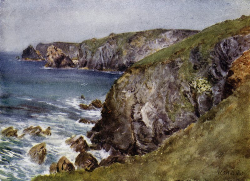 Pobřeží poblíž ještěrky (barva litho) od George Franck Nicholls