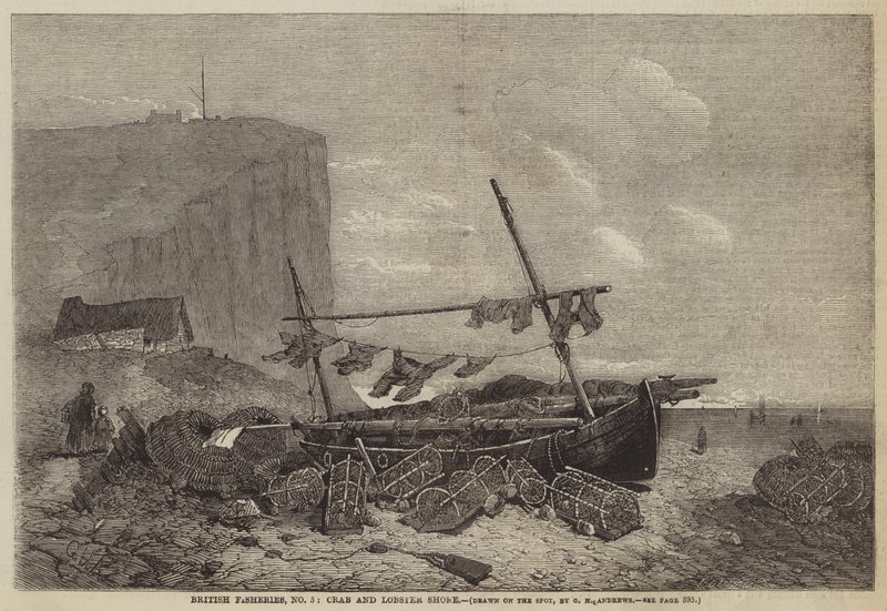 British Fisheries, No 5, Crab and Humr Shore od George Henry Andrews